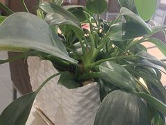 -李先生牛肉面大王(东营凯莱店)