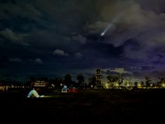 -春花秋色城市公园