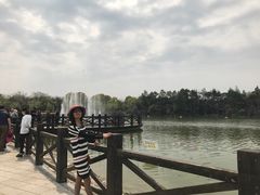 -上海鲜花港