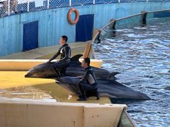 -秦皇岛乐岛海洋王国