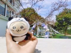 -龙坞茶村