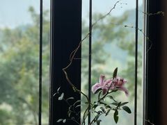 -杭州君悦酒店