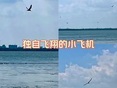 -阳澄湖半岛旅游度假区
