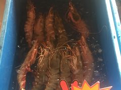 -灯笼馆海鲜餐厅