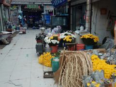 -武汉花鸟市场