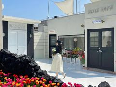 -Blue Concept Cafe&Farm·關於藍
