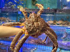 -青蓬海上捞蒸品海鲜城(海岸城店)