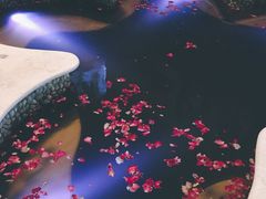 -泉城欧乐堡戏水湾艺术养生温泉