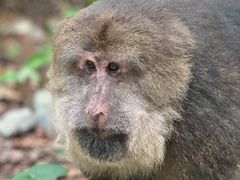 -西岭雪山大飞水景区