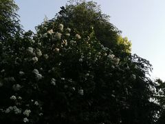 -DQ·蛋糕·冰淇淋(虹口龙之梦店)