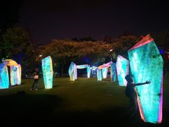-锦江乐园舞狸花花游园会(夜场专享)