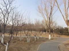 -永定河休闲森林公园