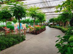 -南宫五洲植物乐园