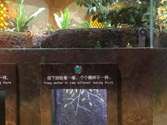 游乐设施-佛山科学馆
