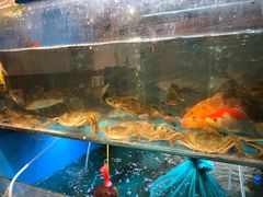 -小钱鱼馆(富春路店)