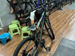 -道路口单车爱瓦士dahon大行