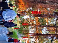 -御霞苑泥烩鸡休闲农庄