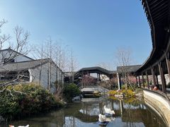 -雅达·阳羡溪山小镇中心