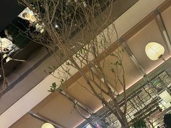 -桂满陇·海市蜃楼·黑金(国金店)