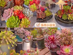 -金陵花卉交易市场