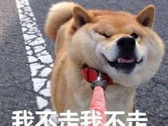 -长藤鬼校(龙翔店)