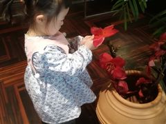 -同喜烤鸭店(光芒店)