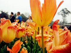 android_upload_pic-保利石象湖景区