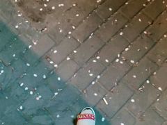 -上海南浦大桥长途旅游客运站
