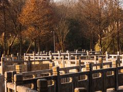 -贵阳市花溪国家城市湿地公园