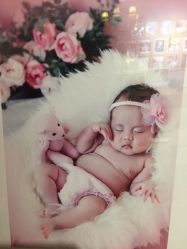 -Angel Fish photography 儿童摄影工作室(亚运村店)