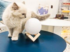 -FULL MOON满月咖啡