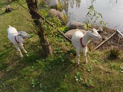 -前小桔亲子创意农场·草莓采摘·露营烧烤