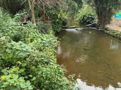 -重庆彩云湖湿地公园