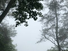 -溪口-滕头旅游景区