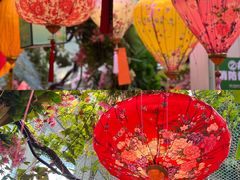 -正佳雨林生态植物园