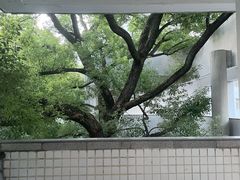 -湖北美术学院(昙华林校区)