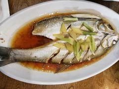 清蒸白水鱼-老马家·舌尖上的西塘美食