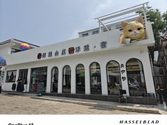 -何适山庄 ·可团建(水长城P2停车场店)