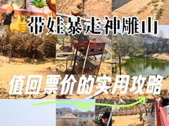 -西霞口神雕山野生动物世界