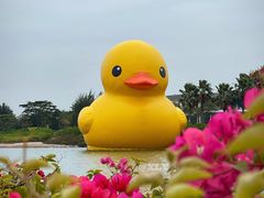 -深圳人才公园