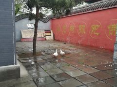 -白洋淀景区