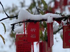-硗碛藏寨·神木垒景区