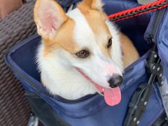 -COMMUNE幻师(五角场店)