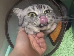 -艾贝尔宠物诊疗