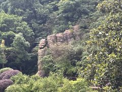 -桃花岭景区
