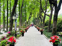 -上海醉白池公园