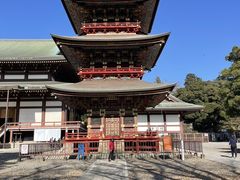 -成田山新胜寺