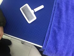 -圣宠动物医院·犬猫专科·影像中心·外科中心