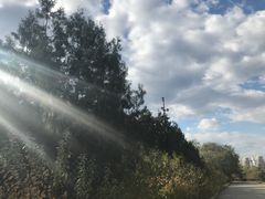 -永定河休闲森林公园