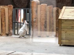 -鄂尔多斯野生动物园